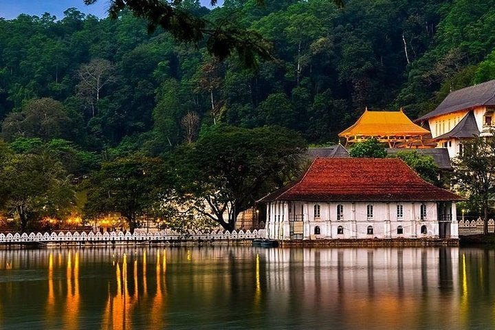 8 Days Private Tour of Sri Lanka from Colombo - Photo 1 of 6